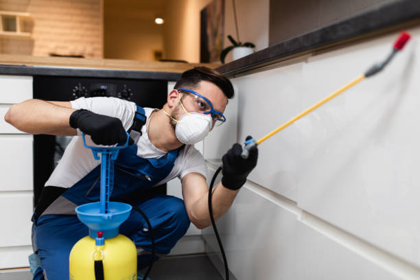 Best Ant Control Services  in Port Morris, NJ