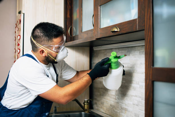 Best Commercial Pest Control Services  in Port Morris, NJ