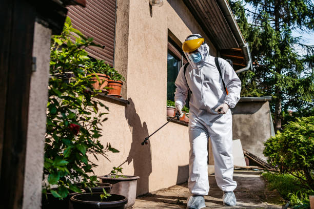 Best Affordable Pest Control Services  in Port Morris, NJ