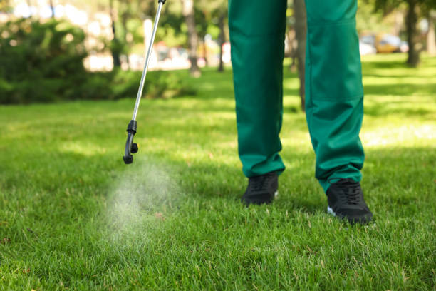 Best Termite Control Services  in Port Morris, NJ
