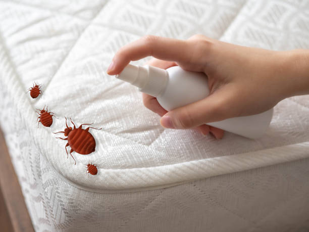 Best Bed Bug Extermination  in Port Morris, NJ