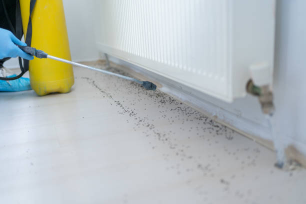 Best Mosquito Control Services  in Port Morris, NJ