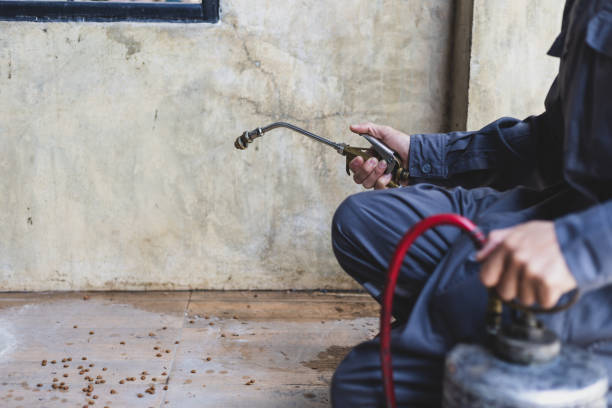 Best Pest Removal Services  in Port Morris, NJ